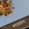 vuori store with palm tree
